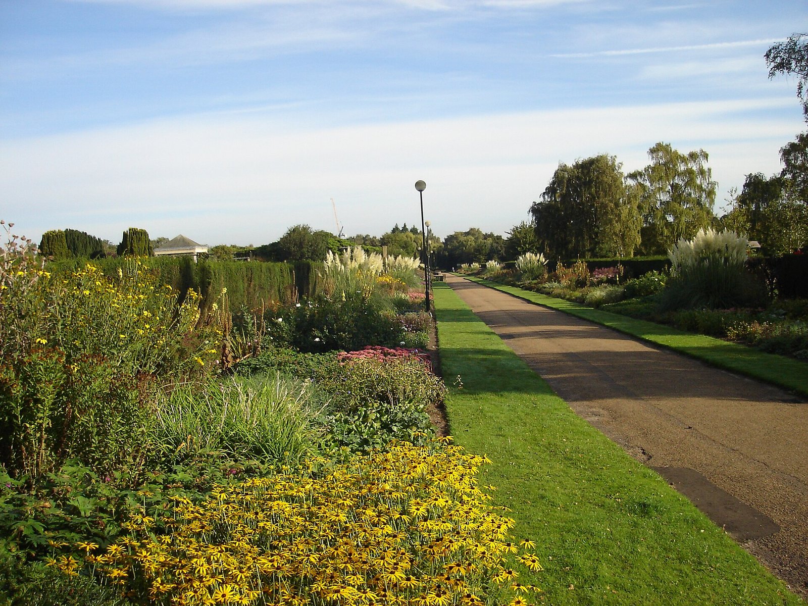 A tidy, established mixed perennial border with black-eyed Susans and ornamental grasses